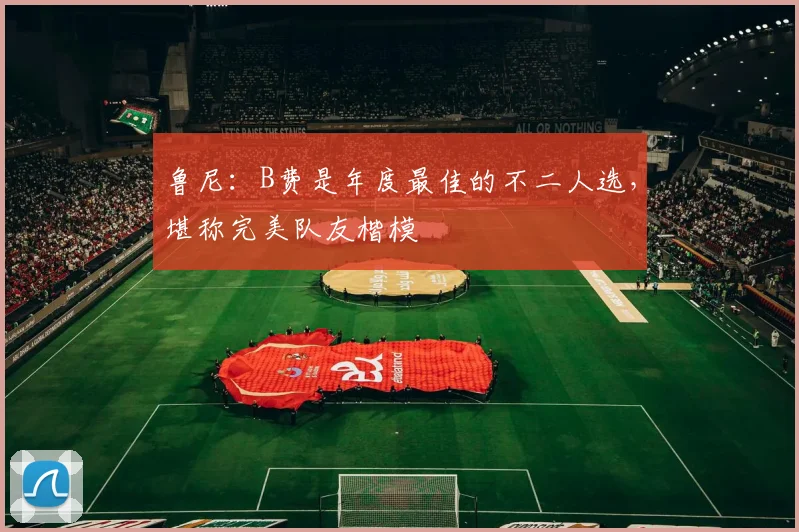 鲁尼:B费是年度最佳的不二人选,堪称完美队友楷模