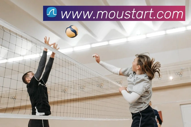 米乐体育平台生态图